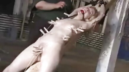 Batı kedi, Houri büyük bir 10 inç Avrupa mobil amatör porn